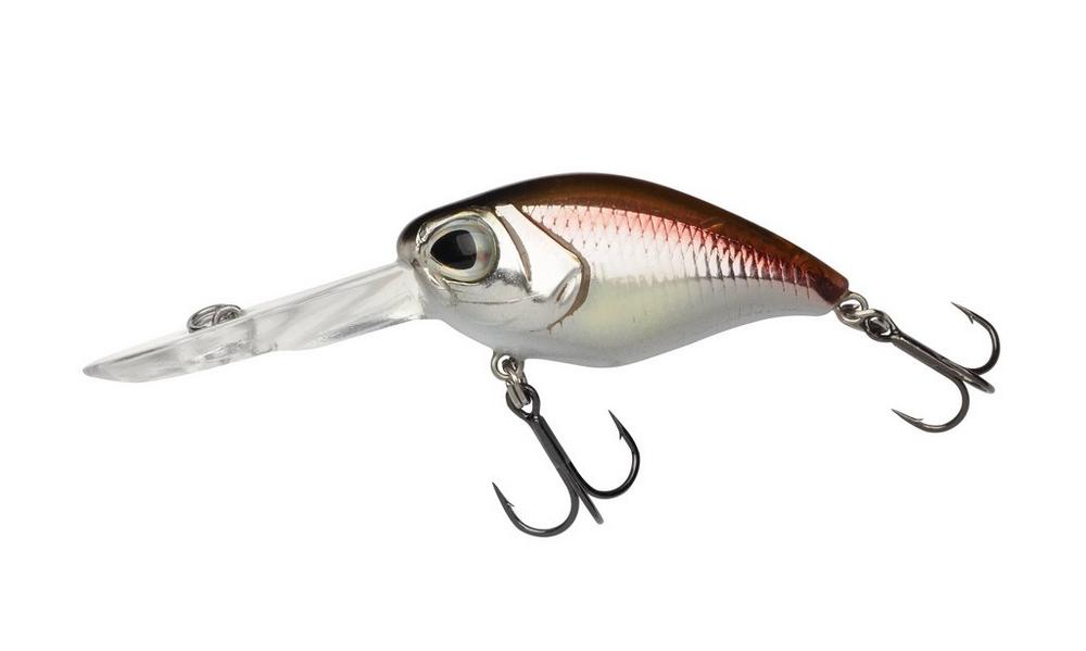Smelt