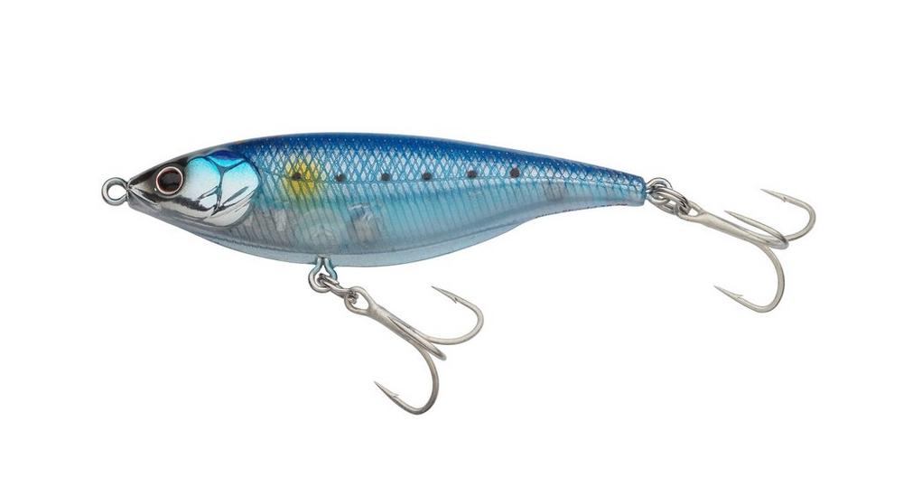 Sardine