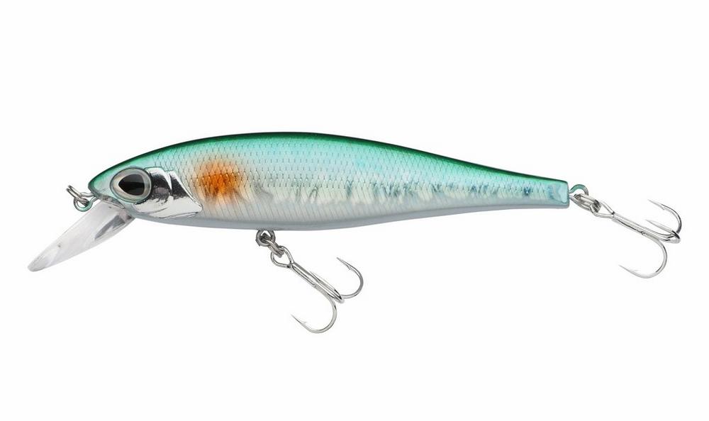 Holo Herring
