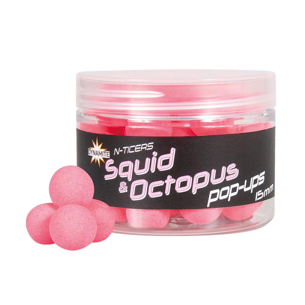 Squid & Qctopus