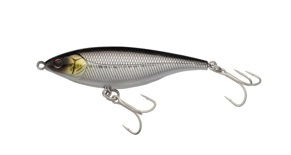 Baitfish