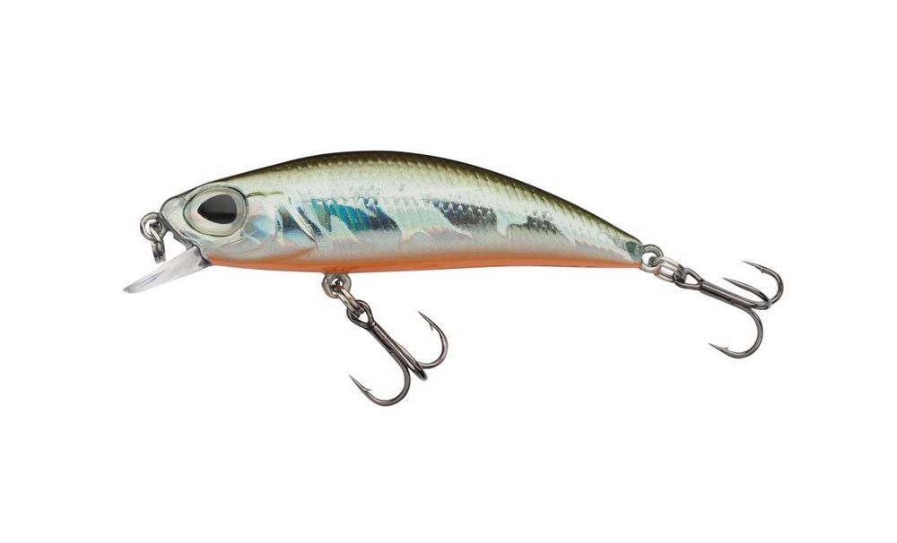 Minnow