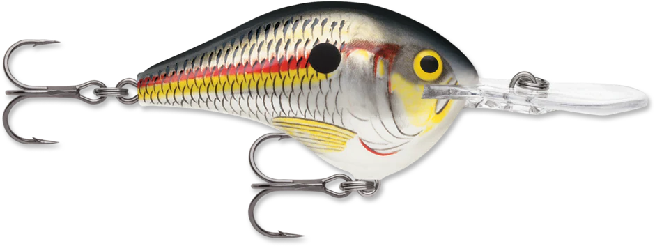 Shad (SD)