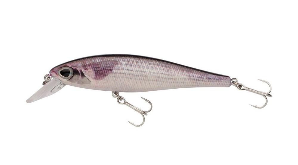 Mullet