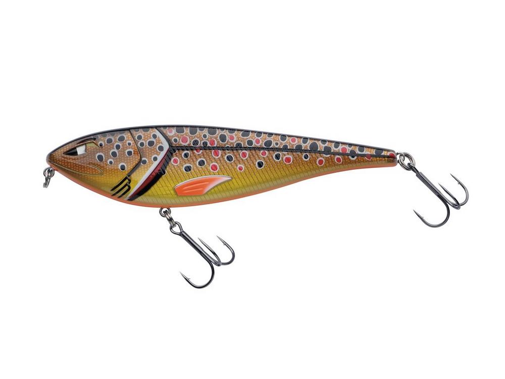 Brown Trout