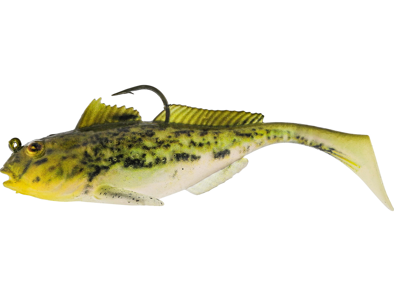 Headlight Goby