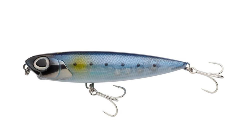 Sardine