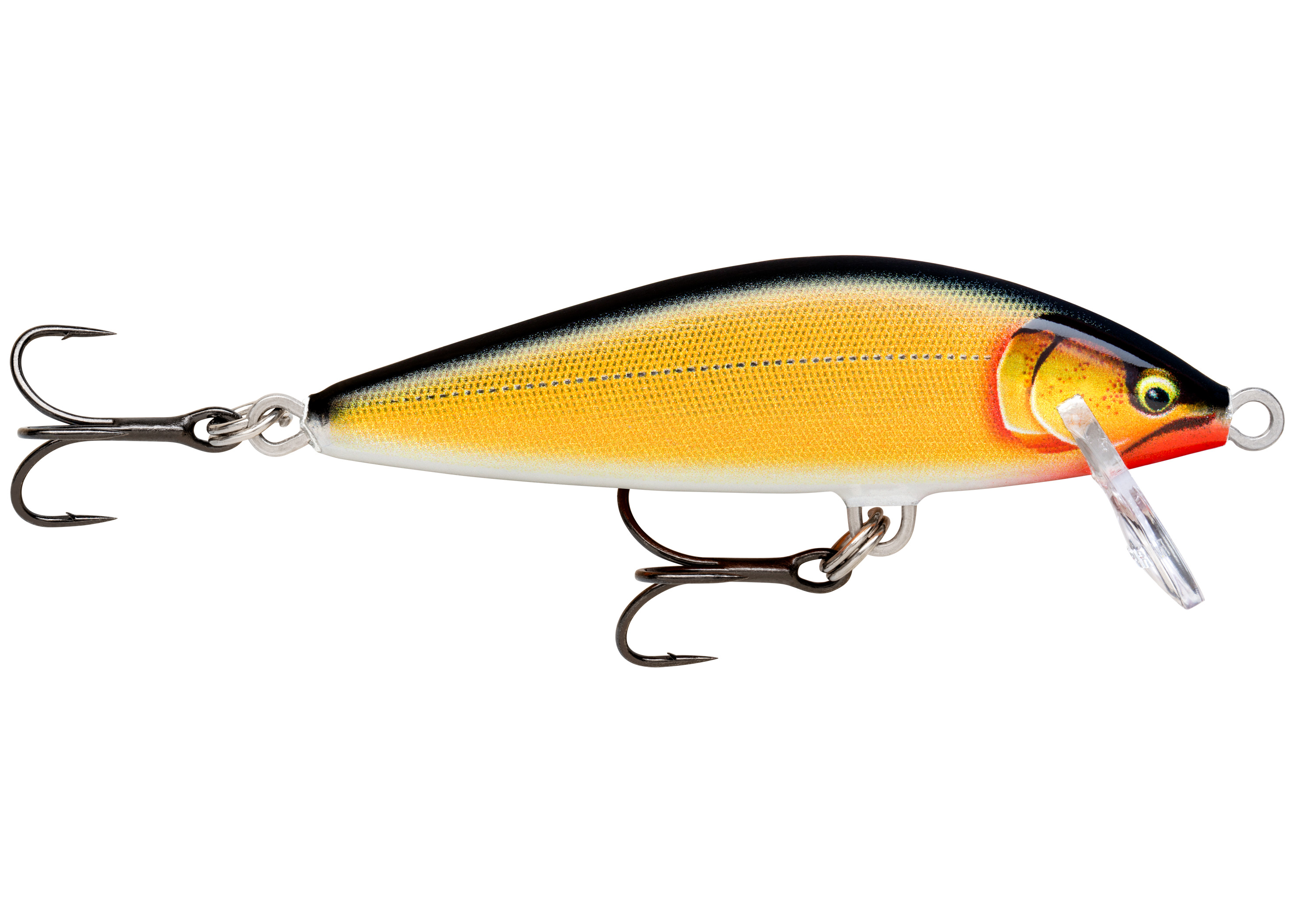 Glided Gold Shad (GDGS)