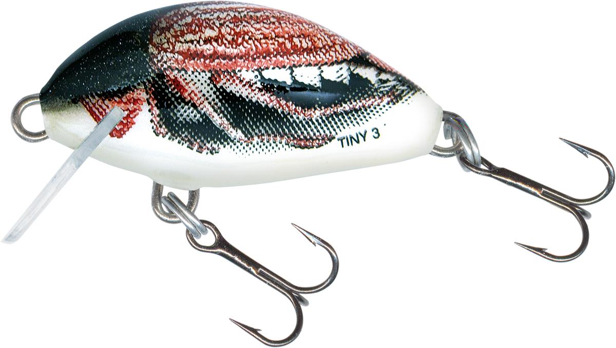 Cockchafer 3cm Sinking